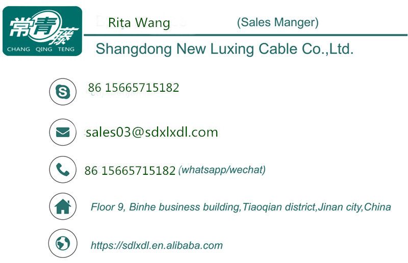 XLPE Insulated Armoured Electric Power Cable Electric Wire
