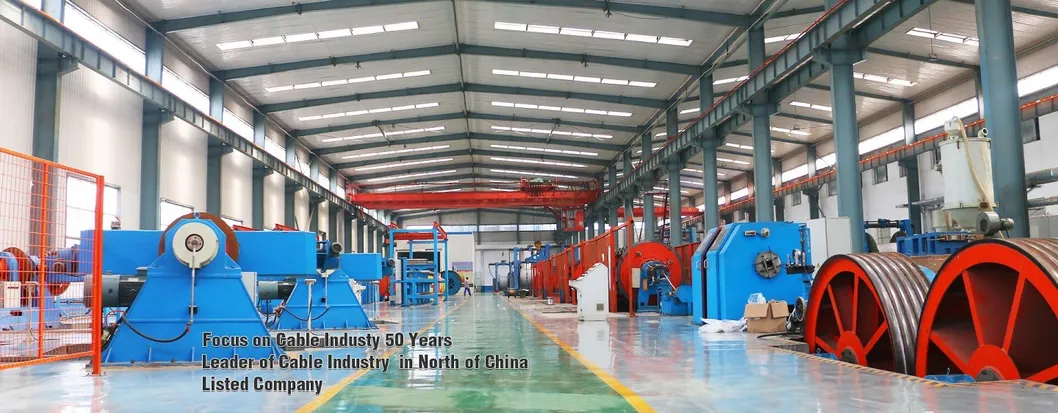 Yjv22 0.6/1-3.6/1kv Cu Core LV Power Cable IEC /CE Certificated Cangzhou Huiyou